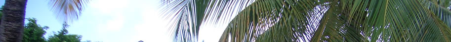 Tropical Antigua Skies - St James's Club  - Superb villas for rental from Antigua Villa Vacations - Bookings